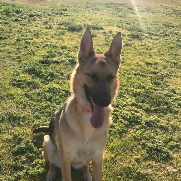 Meet your Posher, Kimberly - Picture 2 of 2